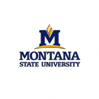 Montana State University
